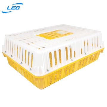 cheapest price live chicken crate plastic crate for live chicken